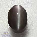 Chrysoberyl Cat's Eye 0.64ct Natural Gemstone