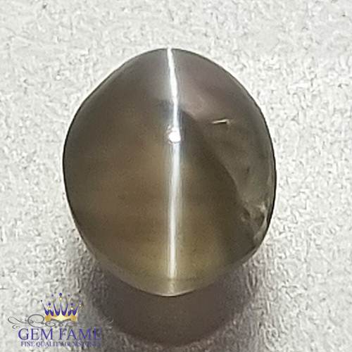 Chrysoberyl Cat's Eye 0.82ct Natural Gemstone