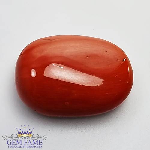 Coral 19.11ct Natural Gemstone Italy