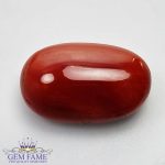 Coral 19.74ct Natural Gemstone Italy