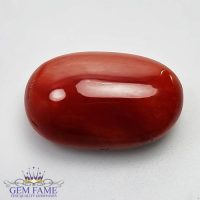 Coral 19.74ct Natural Gemstone Italy