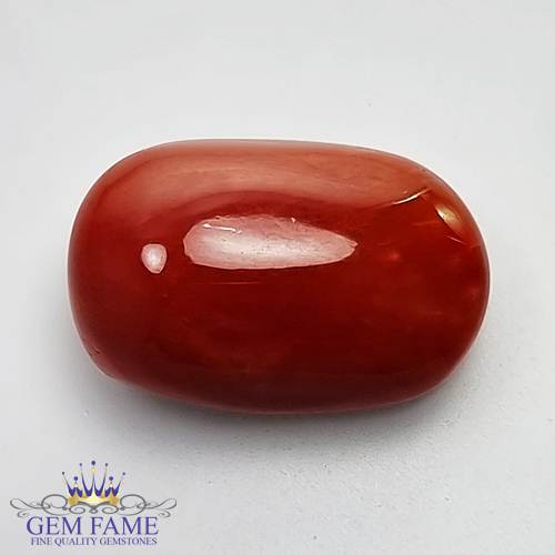 Coral 16.66ct Natural Gemstone Italy