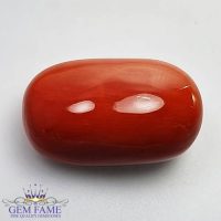 Coral 22.18ct Natural Gemstone Italy