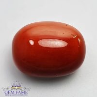 Coral 20.06ct Natural Gemstone Italy