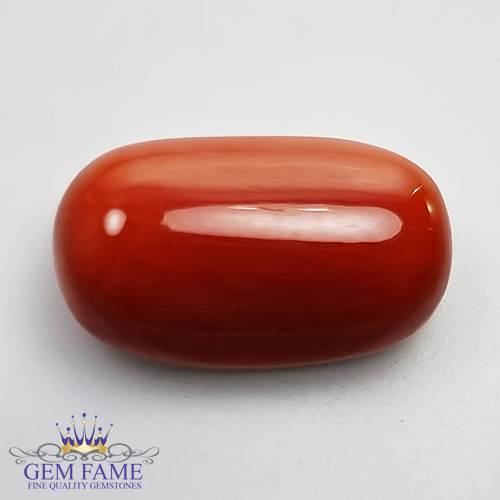 Coral 18.42ct Natural Gemstone Italy