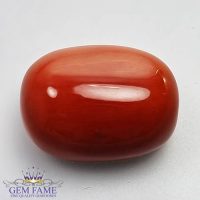 Coral 18.65ct Natural Gemstone Italy