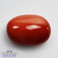 Coral 11.76ct Natural Gemstone Italy