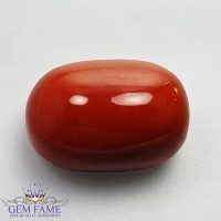 Coral 17.67ct Natural Gemstone Italy