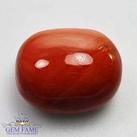 Coral 17.09ct Natural Gemstone Italy