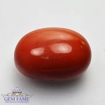 Coral 6.69ct Natural Gemstone Italy