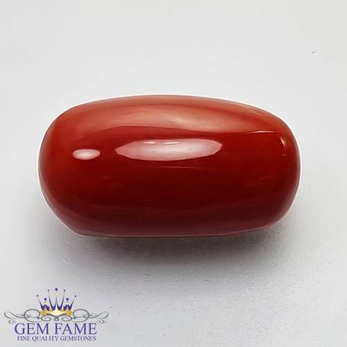 Coral 8.00ct Natural Gemstone Italy