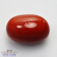 Coral 6.40ct Natural Gemstone Italy