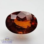 Hessonite Gomed 3.34ct Gemstone Ceylon