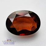 Hessonite Gomed 7.78ct Natural Gemstone Ceylon