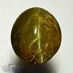 Chrysoberyl Cat's Eye 1.71ct Natural Gemstone