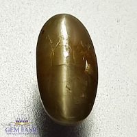 Chrysoberyl Cat's Eye 1.64ct Natural Gemstone