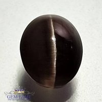 Sillimanite Cat's Eye 3.59ct Rare Natural Gemstone