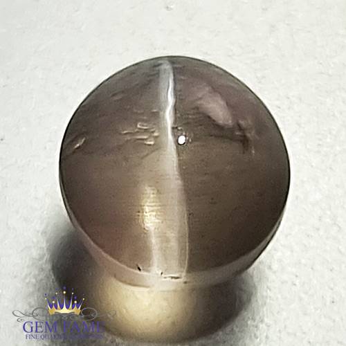 Sillimanite Cat's Eye 2.32ct Rare Natural Gemstone