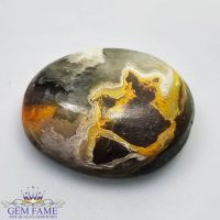 Bumble Bee jasper Gemstone 19.34ct Indonesia