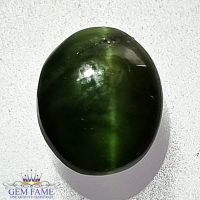 Diopside Cat's Eye Gemstone