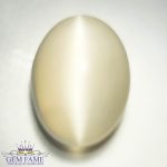 Moonstone Cat's Eye Gemstone-India-18.80ct