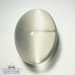 Moonstone Cat's Eye Gemstone-India-8.63ct