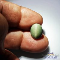 Quartz Cat's Eye Gemstone