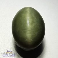 Quartz Cat's Eye Gemstone