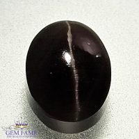 Sillimanite Cat's Eye 2.95ct Rare Gemstone India