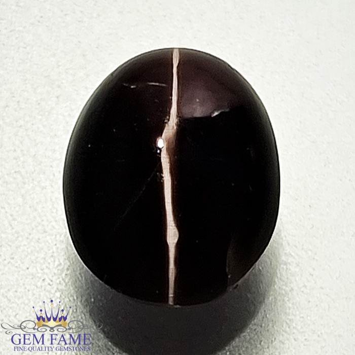Sillimanite Cat's Eye 3.80ct Rare Gemstone India