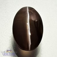 Sillimanite Cat's Eye 3.67ct Rare Gemstone India