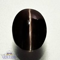 Sillimanite Cat's Eye 3.21ct Rare Gemstone India