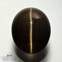 Sillimanite Cat's Eye 4.26ct Natural Rare Gemstone India