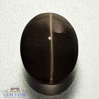 Sillimanite Cat's Eye 2.48ct Rare Gemstone India