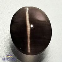 Sillimanite Cat's Eye 2.57ct Rare Gemstone India