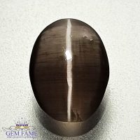 Sillimanite Cat's Eye 2.46ct Rare Gemstone India