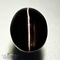 Sillimanite Cat's Eye 5.52ct Rare Gemstone India