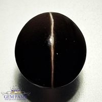 Sillimanite Cat's Eye 7.75ct Rare Gemstone India