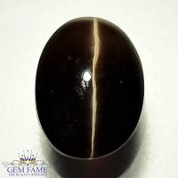 Sillimanite Cat's Eye 4.34ct Rare Gemstone India