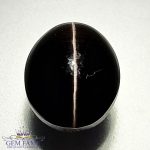 Sillimanite Cat's Eye 6.63ct Rare Gemstone India