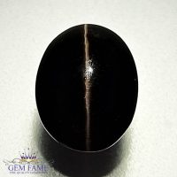 Sillimanite Cat's Eye 4.33ct Rare Gemstone India