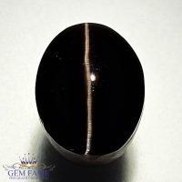 Sillimanite Cat's Eye 7.12ct Rare Gemstone India