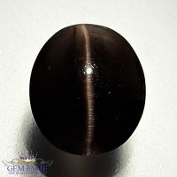 Sillimanite Cat's Eye 4.33ct Rare Gemstone India