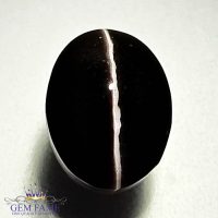 Sillimanite Cat's Eye 4.94ct Rare Gemstone India