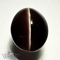 Sillimanite Cat's Eye 4.11ct Rare Gemstone India