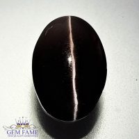 Sillimanite Cat's Eye 8.22ct Rare Gemstone India