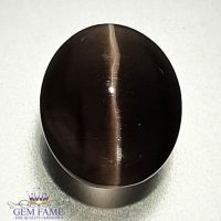 Sillimanite Cat's Eye 4.46ct Rare Gemstone India