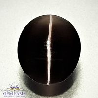 Sillimanite Cat's Eye 3.80ct Rare Gemstone India