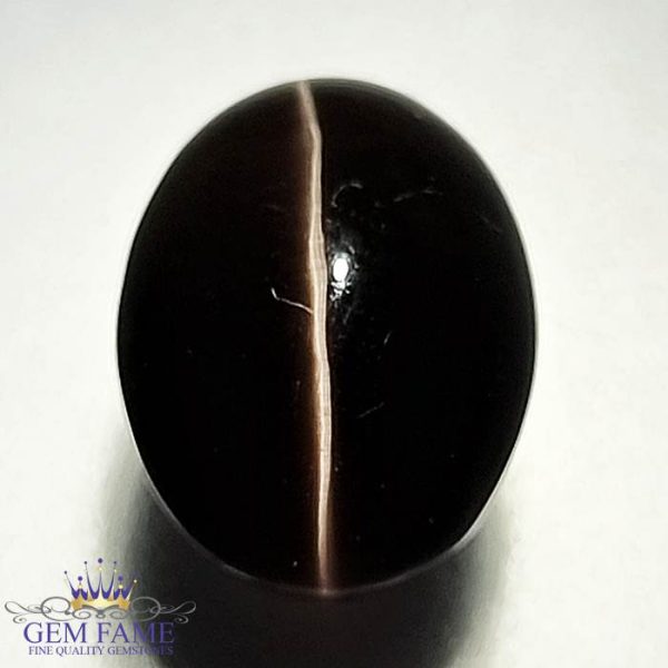 Sillimanite Cat's Eye 7.15ct Rare Gemstone.