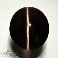 Sillimanite Cat's Eye 3.83ct Rare Gemstone